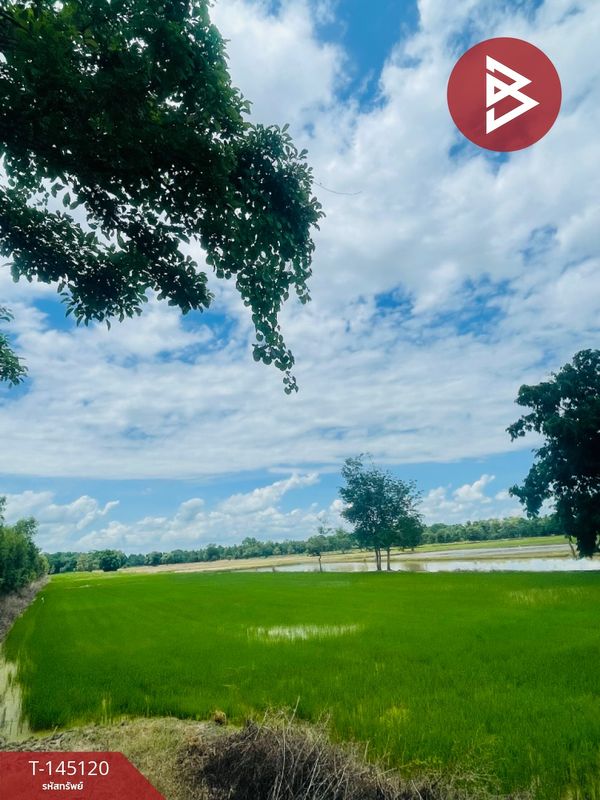 Land for sale 11 rai 2 ngan 21 square wa, Don Taeng Subdistrict, Khanu Woralaksaburi, Kamphaeng Phet.