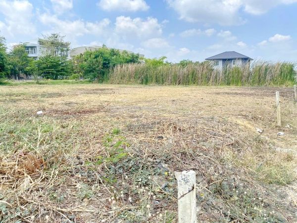 near King Mongkut's Institute of Technology Ladkrabang 2.5 km. Vacant green land for sale 217 sq.wa.