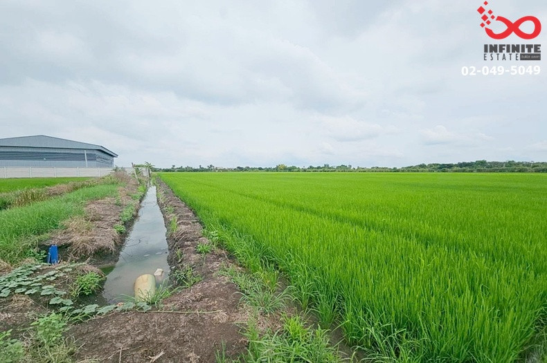 Land for sale 11-1-45 rai, Soi Ngern Phan, Suwinthawong, near Chin Market, Khlong Luang Phaeng, Chachoengsao.