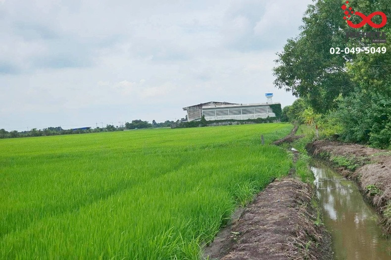ขายที่ดิน 11-1-45 ไร่ ซอยเงินผัน สุวินทวงศ์ ใกล้ตลาดฉิน คลองหลวงแพ่ง ฉะเชิงเทรา – รูปที่ 3