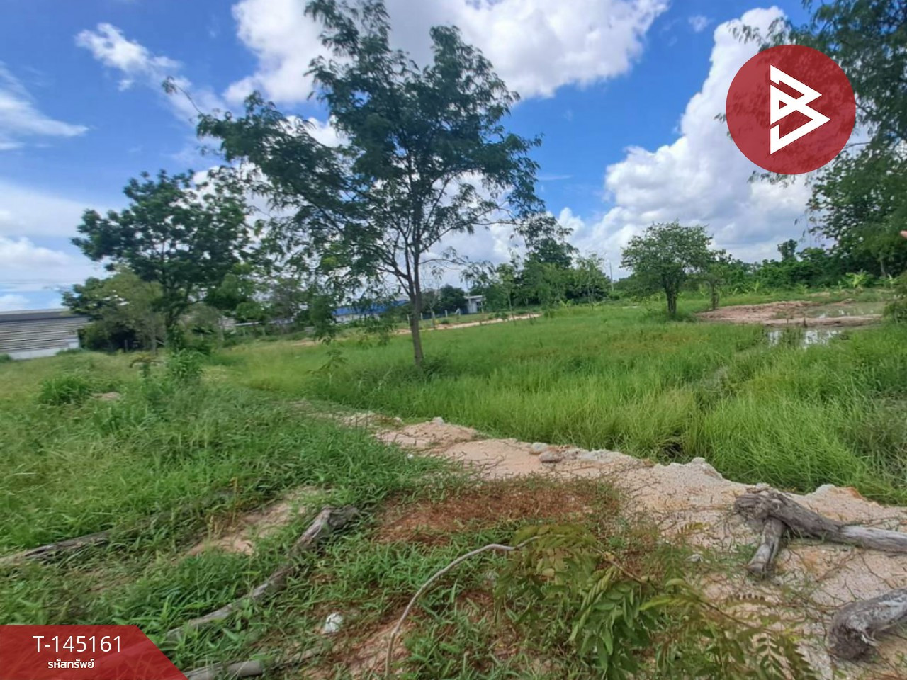  ขายที่ดินแปลงสวย เนื้อที่ 40 ตร.วา หนองตำลึง พานทอง ชลบุรี – รูปที่ 2