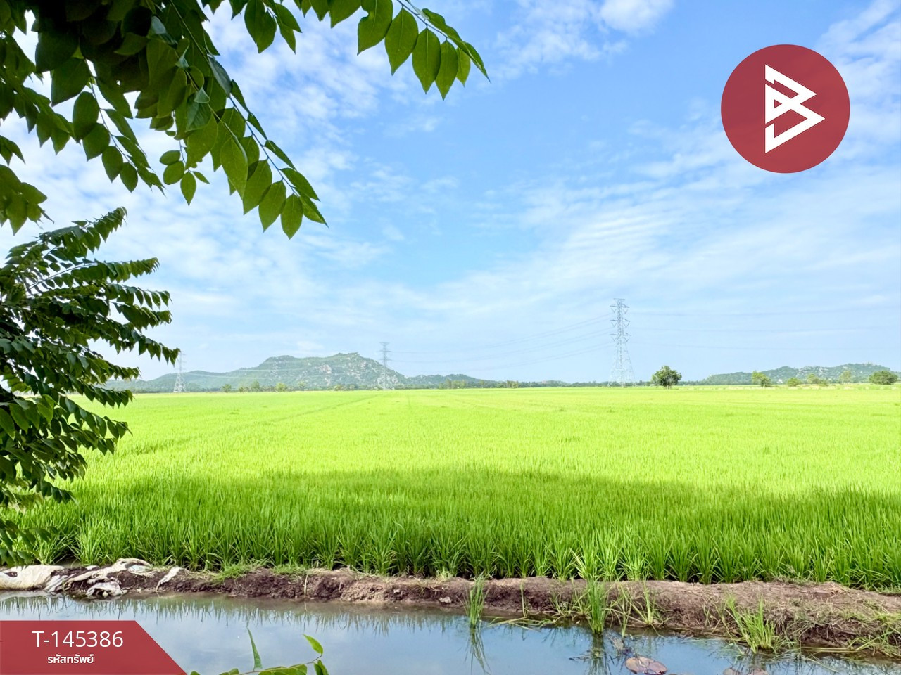 ขายที่ดิน เนื้อที่ 28 ไร่ 18 ตารางวา ตาคลี นครสวรรค์ เหมาะกับการเกษตร – รูปที่ 4