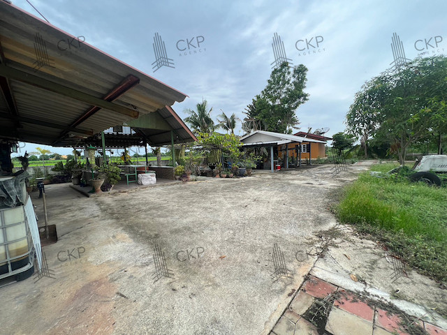 ขาย ที่ดินพร้อมสิ่งปลูกสร้าง อ.เมือง นครปฐม เดินทางสะดวก ทางด่วนM81 เหมาะทำคาเฟ่ บ้านพักตากอากาศ | 93390 – รูปที่ 4