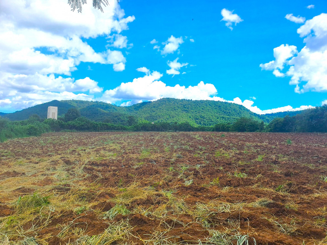 ขาย ที่ดิน เขาใหญ่ ต.หมูสี อ.ปากช่อง 12 ไร่ 2 งาน 2 ตรว ถนนดี วิวสวย – รูปที่ 2