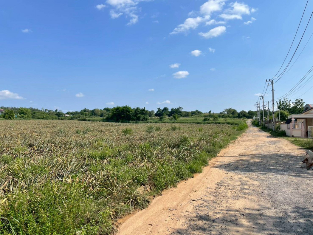 ขายที่ดินบ่อวิน 26 ไร่ 2 งาน 77.9 ตร.ว. ซอยห้วยเหียน ใกล้โรบินสัน บ่อวิน – รูปที่ 3
