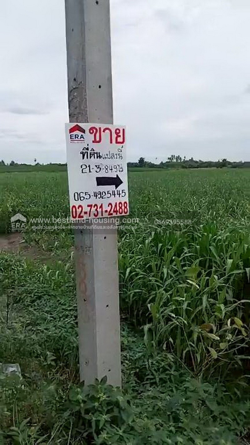 Large plot of land for sale, 21-3-84.9 rai, Na Yao Subdistrict, Phra Phutthabat District, Saraburi Province. – รูปที่ 4