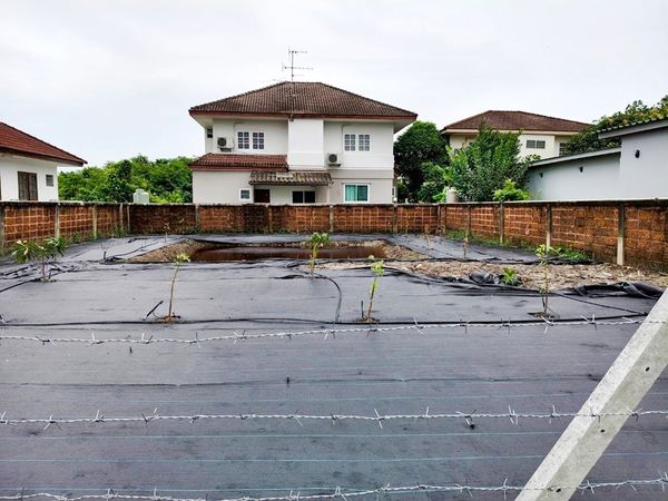Land 100 sqw. for Detached House in Paradise Ville near Mahidol University