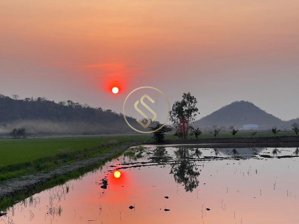ขายด่วน ที่ดินสวยสุพรรณบุรี 5 ไร่ 82.1 ตรว. อำเภอเดิมบางนางบวช ทำเลดี ทัศนียภาพสวยงาม ปลอดภัย