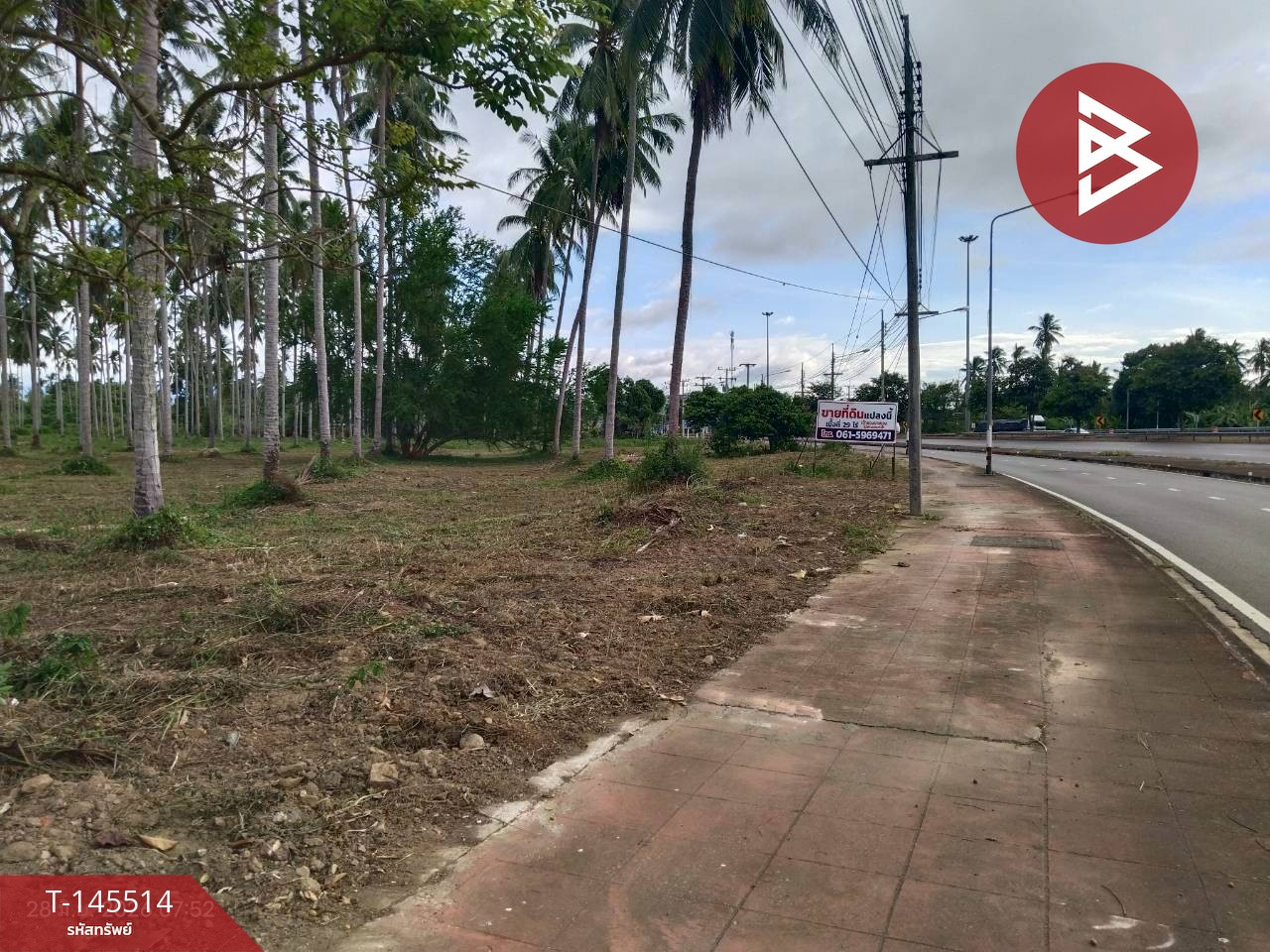 ขายที่ดิน เนื้อที่ 28 ไร่ 2 งาน 6 ตร.วา บางสะพาน ประจวบคีรีขันธ์ – รูปที่ 4