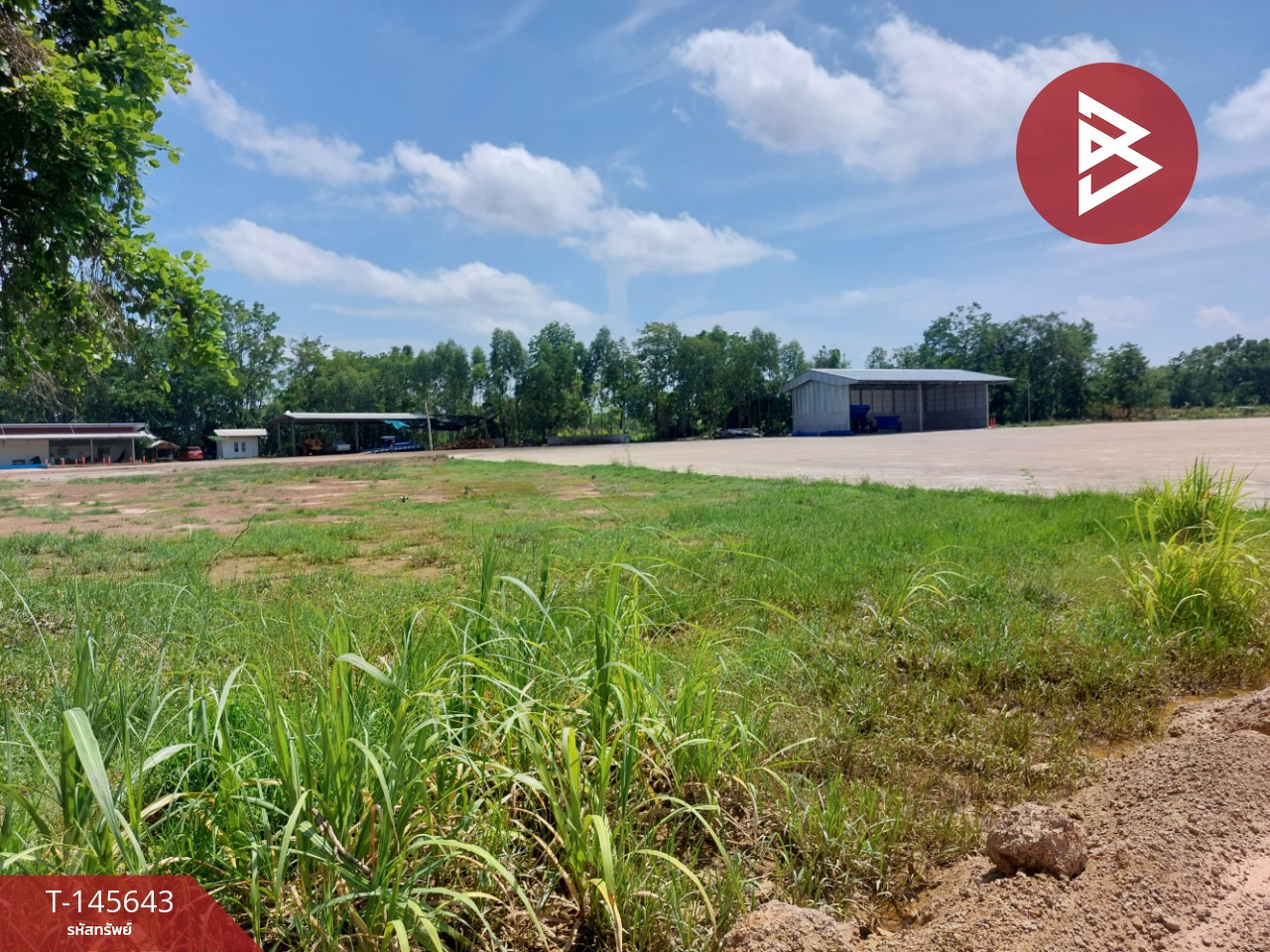 Land for sale, area 16 rai 2 ngan 86.2 square wah, with a farm business, Na Kha, Tha Bo, Nong Khai.