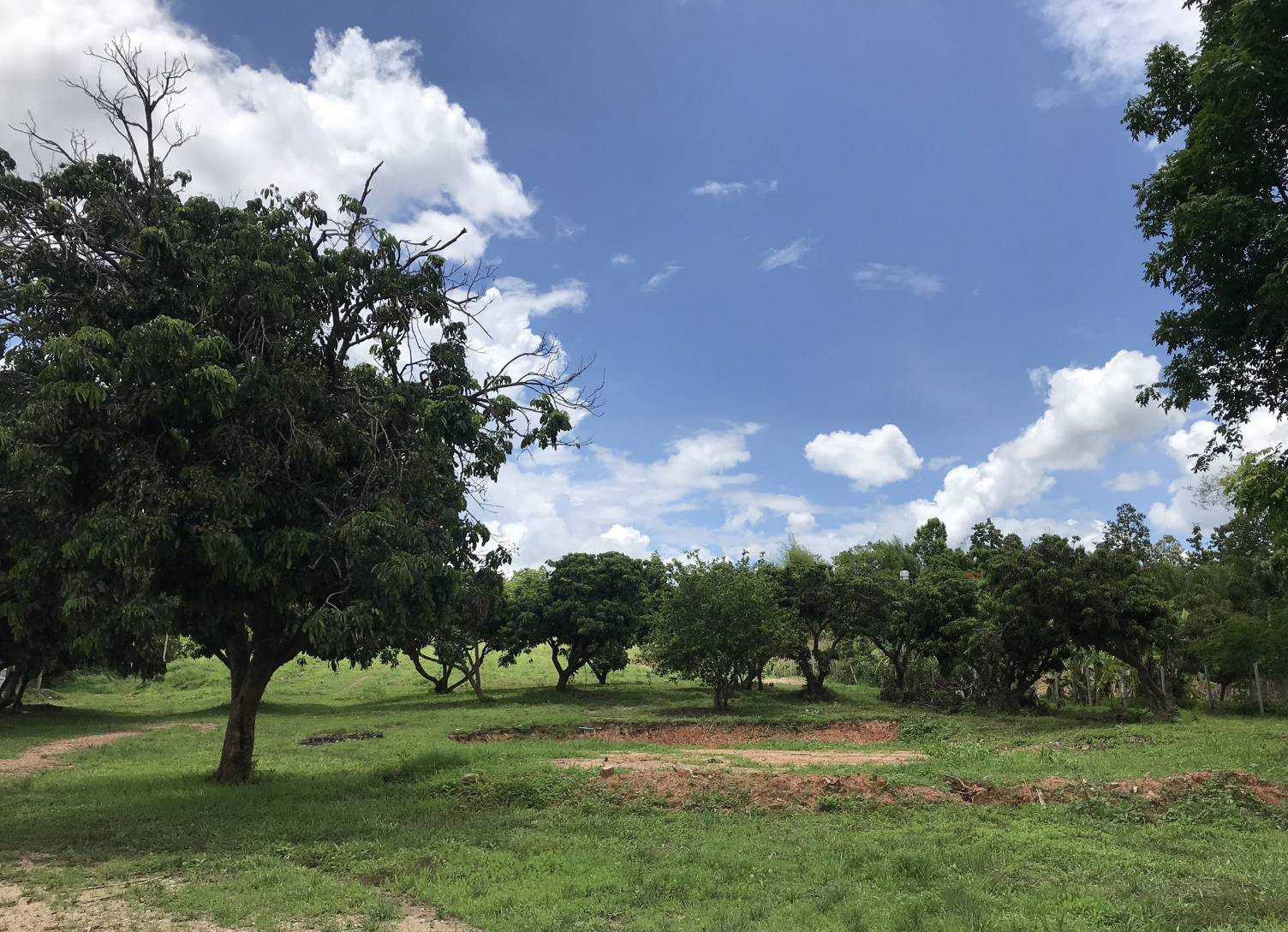 Hillside land, million-dollar view, next to Mae Taeng Irrigation Road. Near Wat Pa Na Bun, almost 10 rai #Mae Taeng land #Chiang Mai land #beautiful land – รูปที่ 3