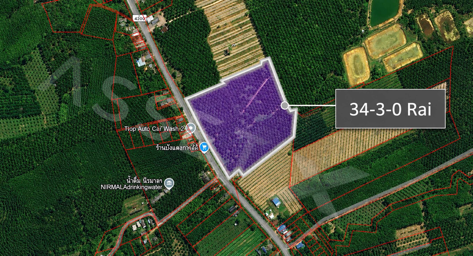 Oil palm plantation land for sale, 34 rai 3 ngan, potential location, Krabi province. Oil palm plantation land for sale, 34 rai 3 ngan, potential location, Krabi province.
