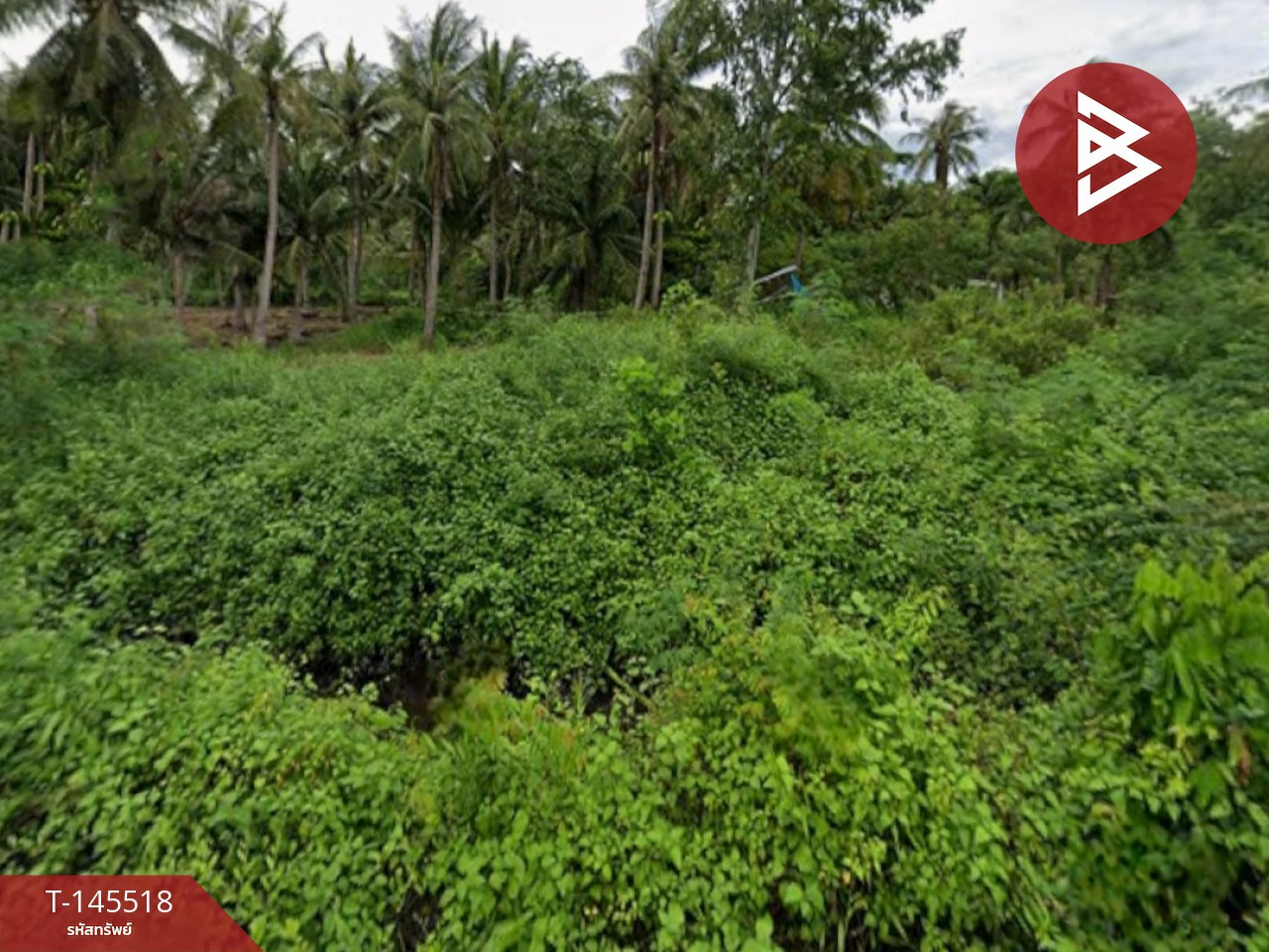 Land for sale, area 4 rai 1 ngan 46.6 sq m, Ban Laem, Phetchaburi. – รูปที่ 4