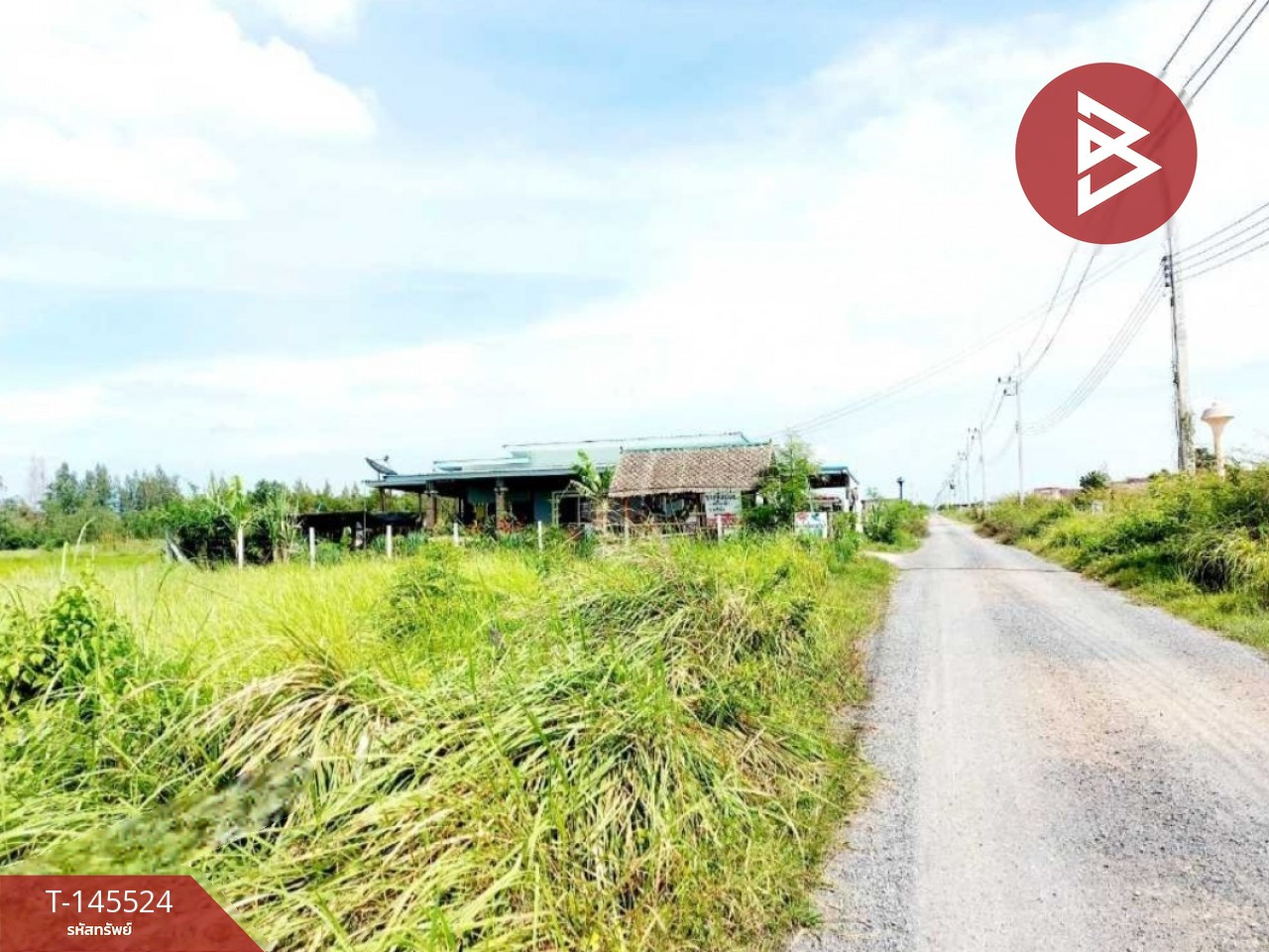 ขายที่ดิน เนื้อที่ 1 งาน 5 ตร.วา องครักษ์ นครนายก – รูปที่ 4