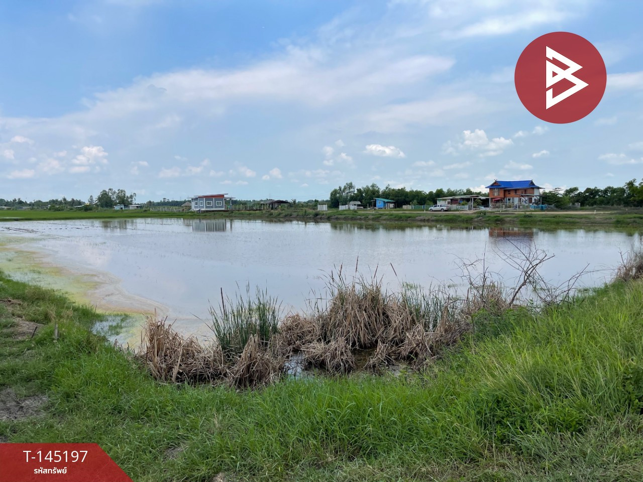 ขายที่ดิน เนื้อที่ 4 ไร่ บางน้ำเปรี้ยว ฉะเชิงเทรา – รูปที่ 3