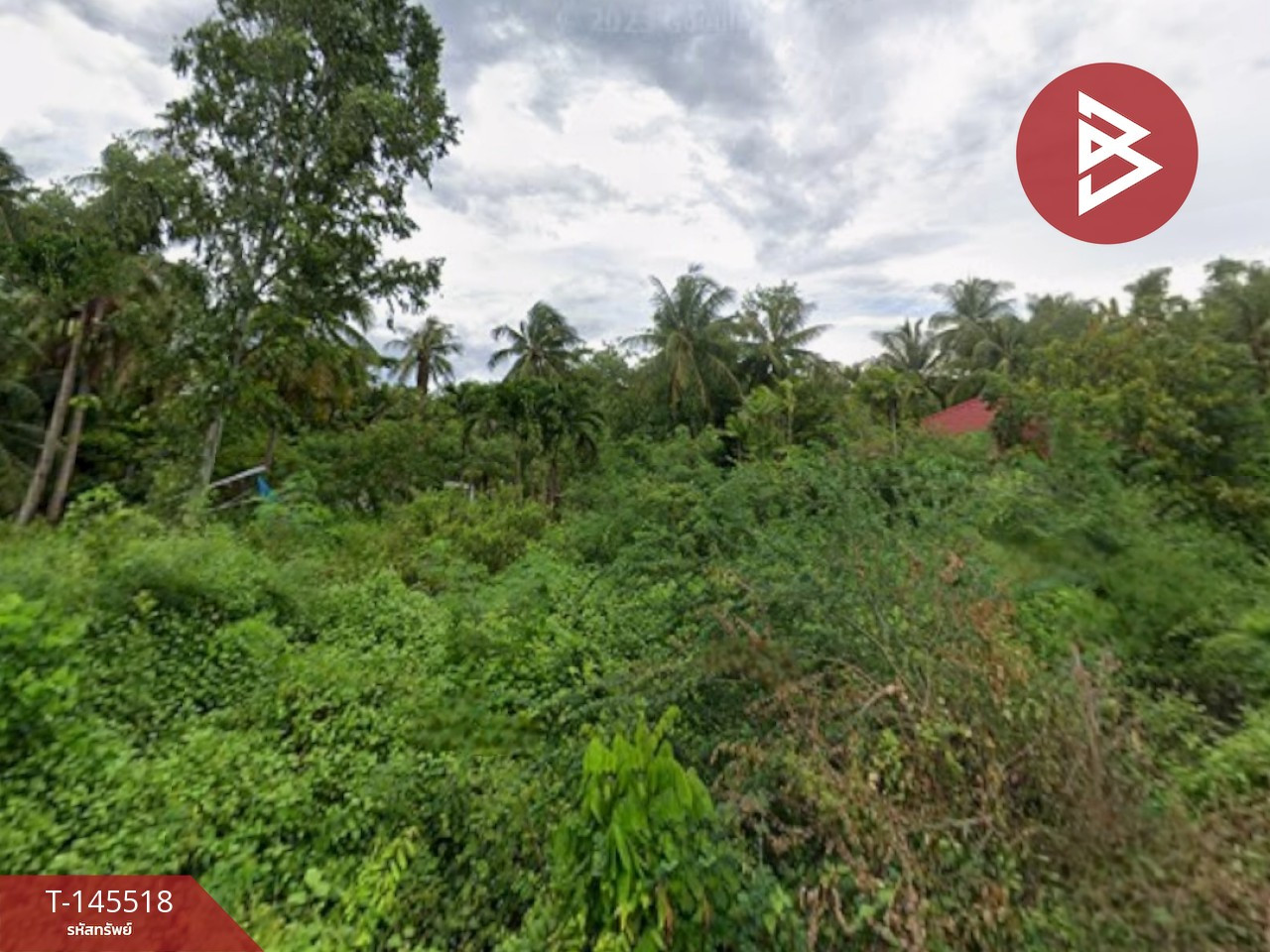 ขายที่ดินสวนมะพร้าวผืนใหญ่ บ้านแหลม เพชรบุรี ขายที่ดินสวนมะพร้าวผืนใหญ่ บ้านแหลม เพชรบุรี
