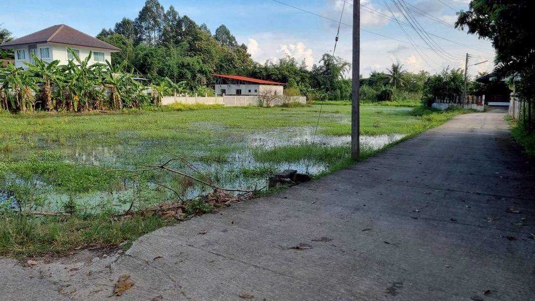 Land for sale, 2 rai, price 4 million, near Maejo University, Chiang Mai. – รูปที่ 2