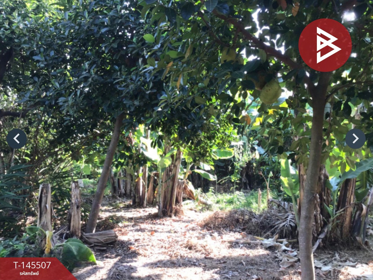 ขายที่ดิน เนื้อที่ 1 งาน 97.9 ตร.วา บ้านเกาะ อุตรดิตถ์ – รูปที่ 4