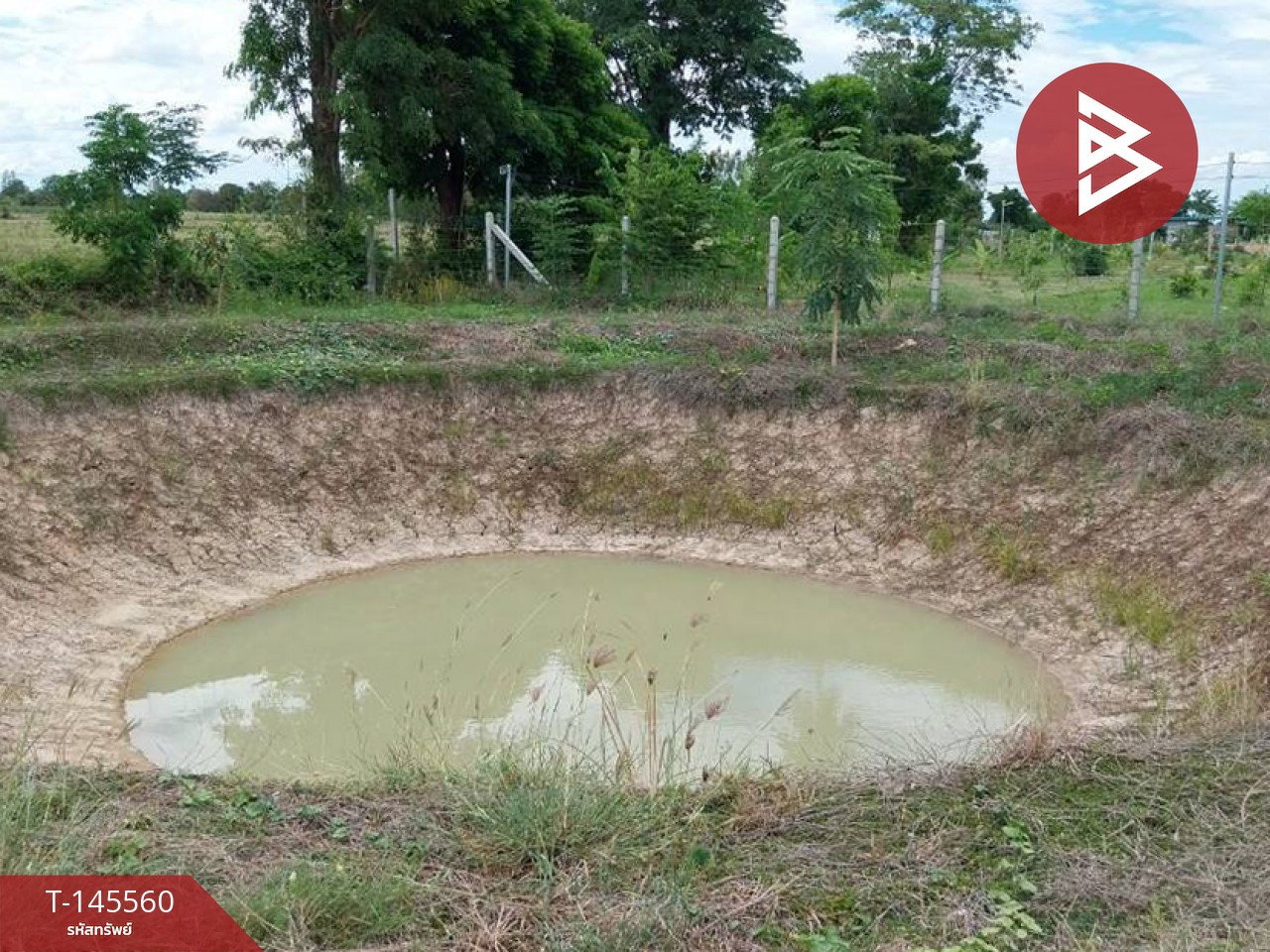 Land for sale, area 1 rai, Nong Ya Sai, Suphanburi. – รูปที่ 4