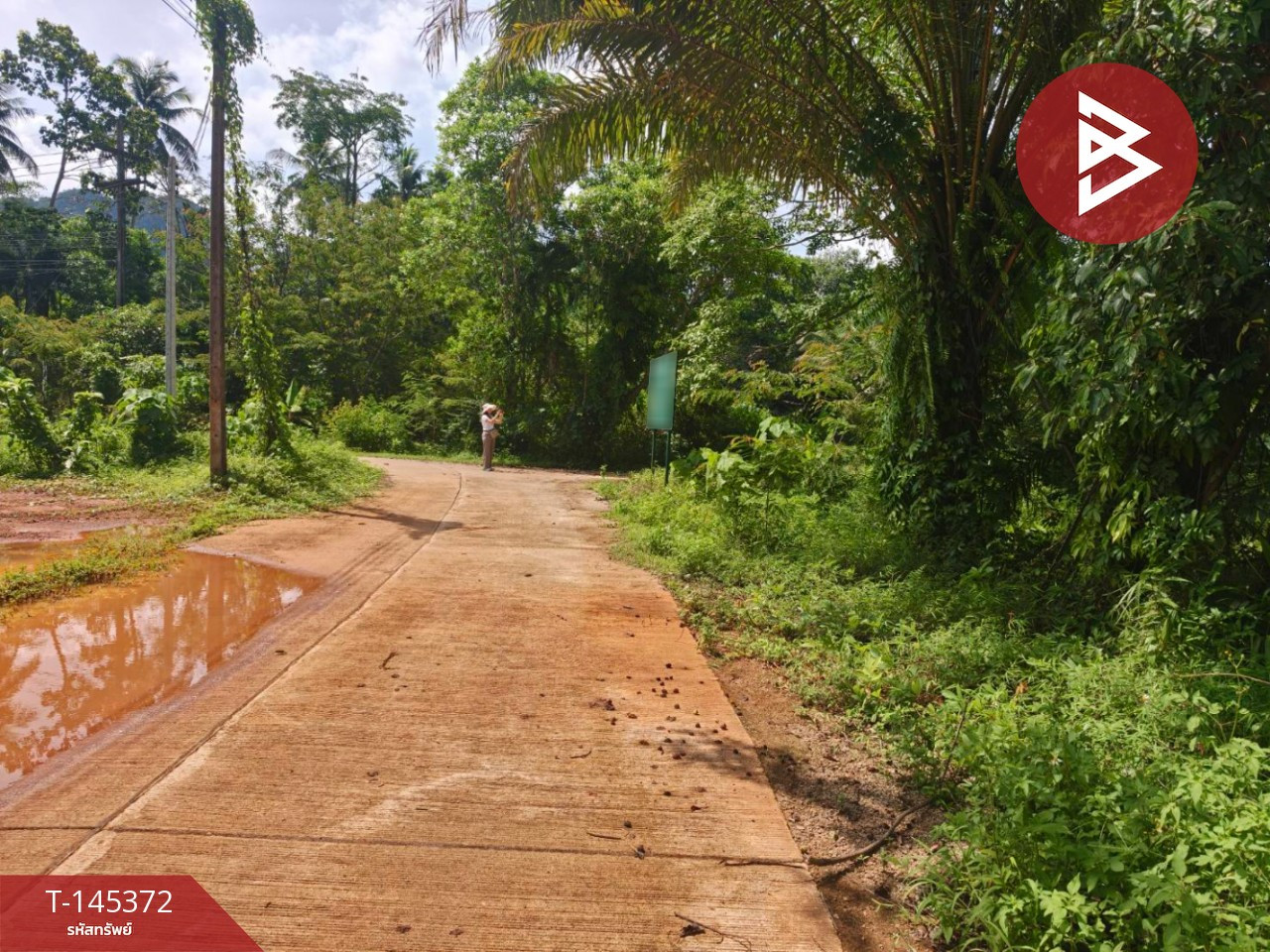 ขายที่ดินพร้อมสวนยาง เนื้อที่ 7 ไร่่ 2 งาน 60 ตารางวา ไสไทย จังหวัดกระบี่ – รูปที่ 2