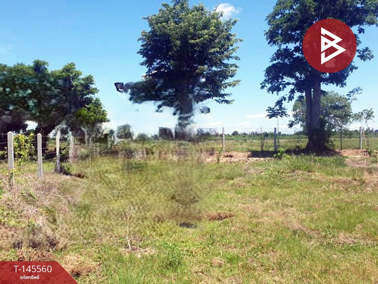 Land for sale, area 1 rai, Nong Ya Sai, Suphanburi. – รูปที่ 3