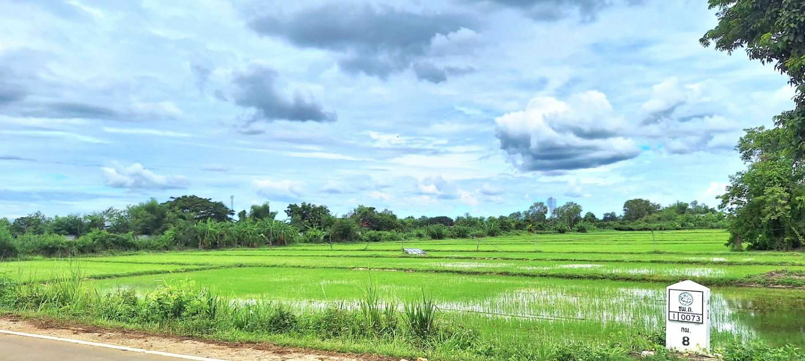 Large plot of land for sale, Buak Khang, San Kamphaeng, Chiang Mai, area 17 rai 3 ngan 68 square wah, next to the road on 2 sides, ready for development. – รูปที่ 3