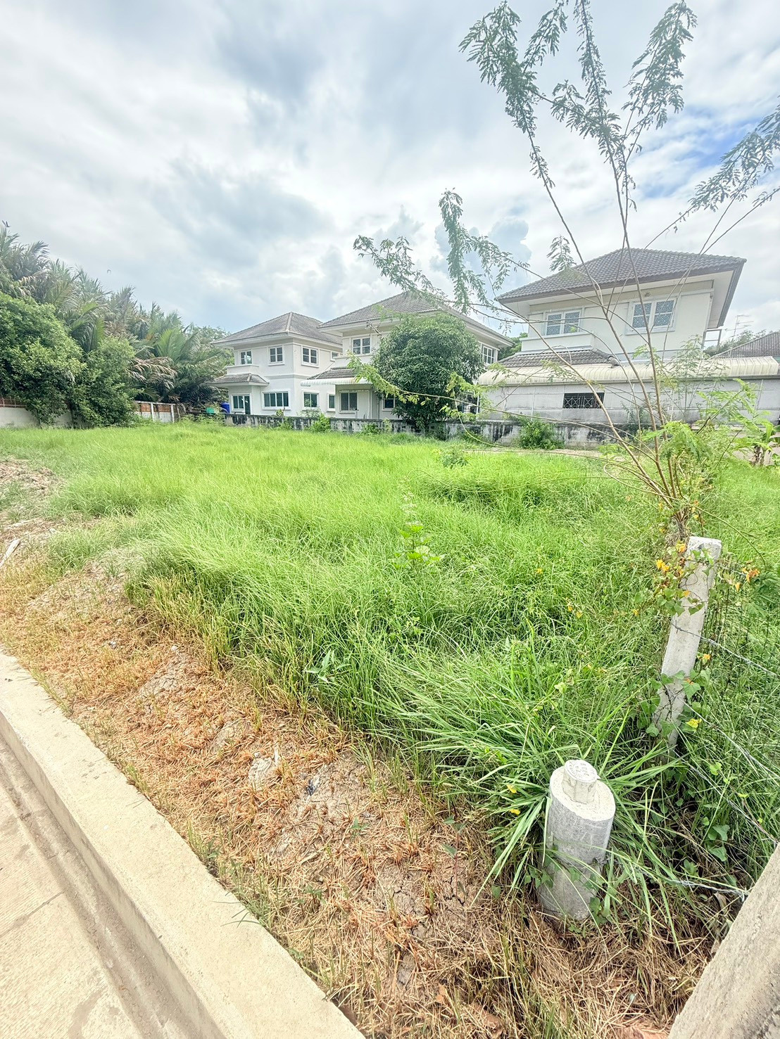 Rare Item! ที่ดินแปลงมุม 105 ตร.วา ในโครงการ Place & Park ประชาอุทิศ 90  – รูปที่ 2