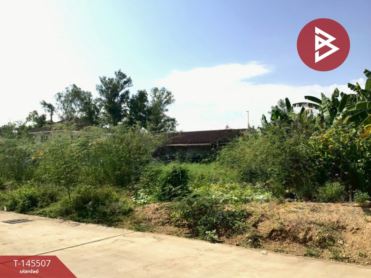Land for sale, area 1 ngan 97.9 sq m, Ban Ko, Uttaradit. Land for sale, area 1 ngan 97.9 sq m, Ban Ko, Uttaradit.