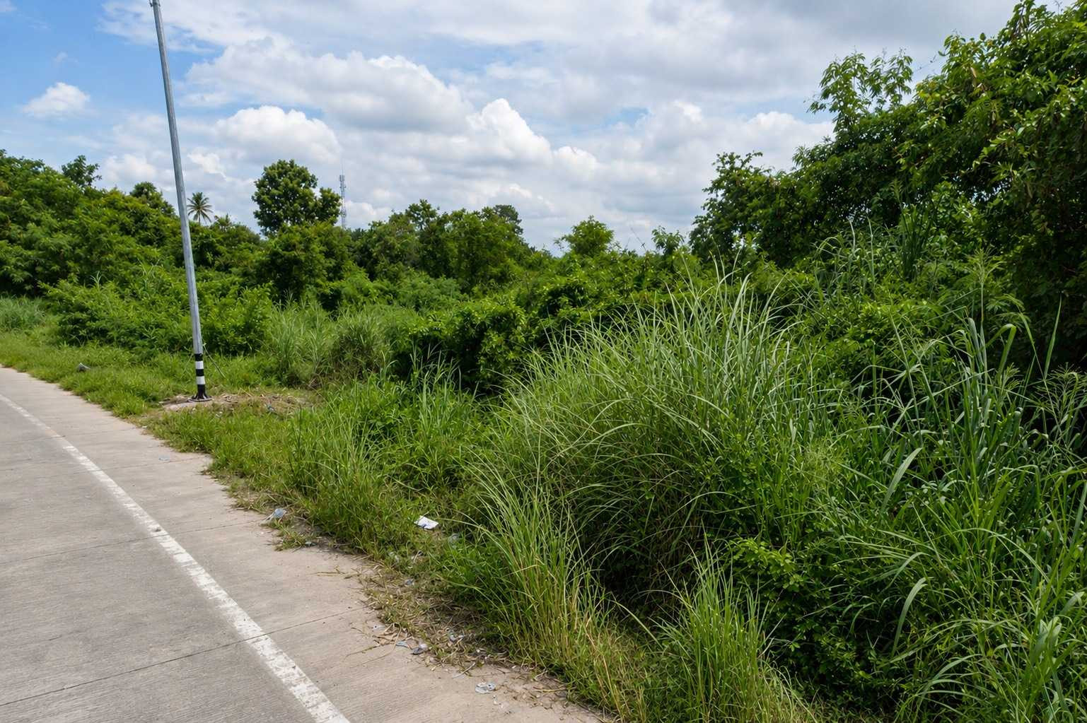 ขาย ที่ดินเปล่า 83 ตร.ว. ทำเลดี บางพระ – ศรีราชา ซอยบ้านลุงเทิ้ม ใกล้อ่างเก็บน้ำบางพระ จังหวัดชลบุรี – รูปที่ 3