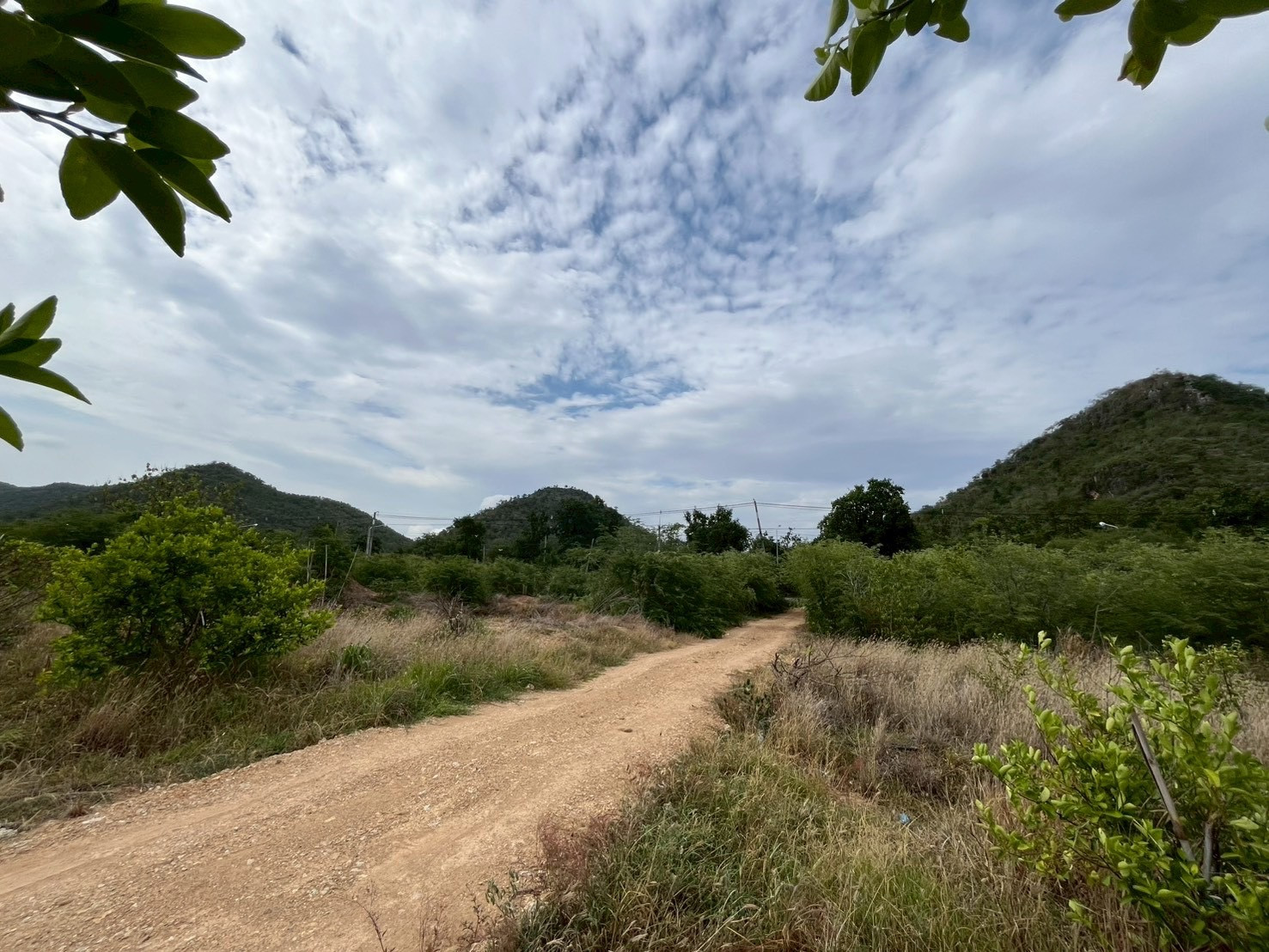 High potential land, next to the main road - next to the Kwai Yai River. – รูปที่ 2