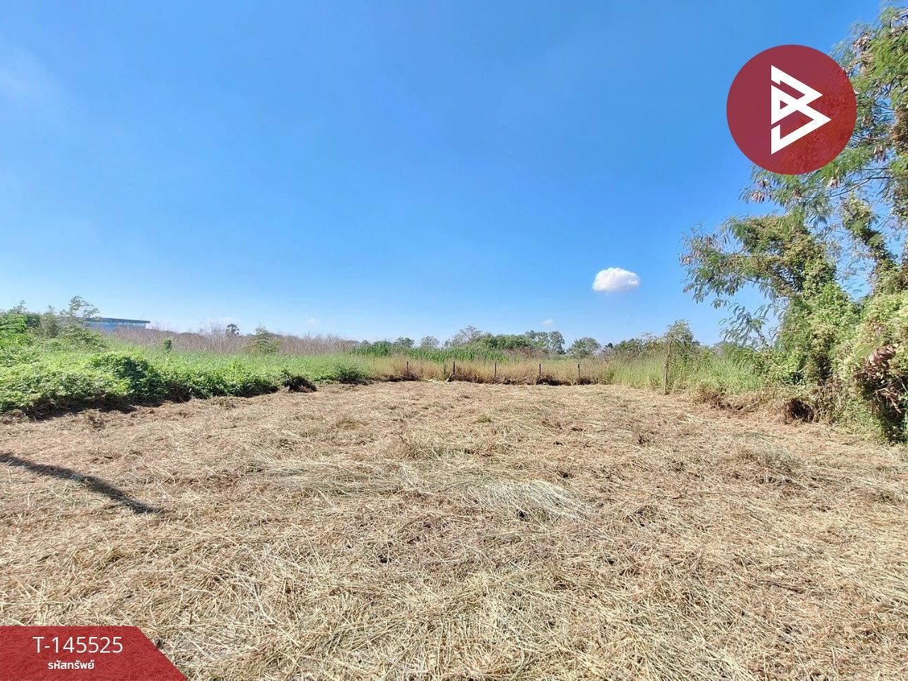 Land for sale, area 66 sq m, Thanyaburi, Pathum Thani – รูปที่ 4