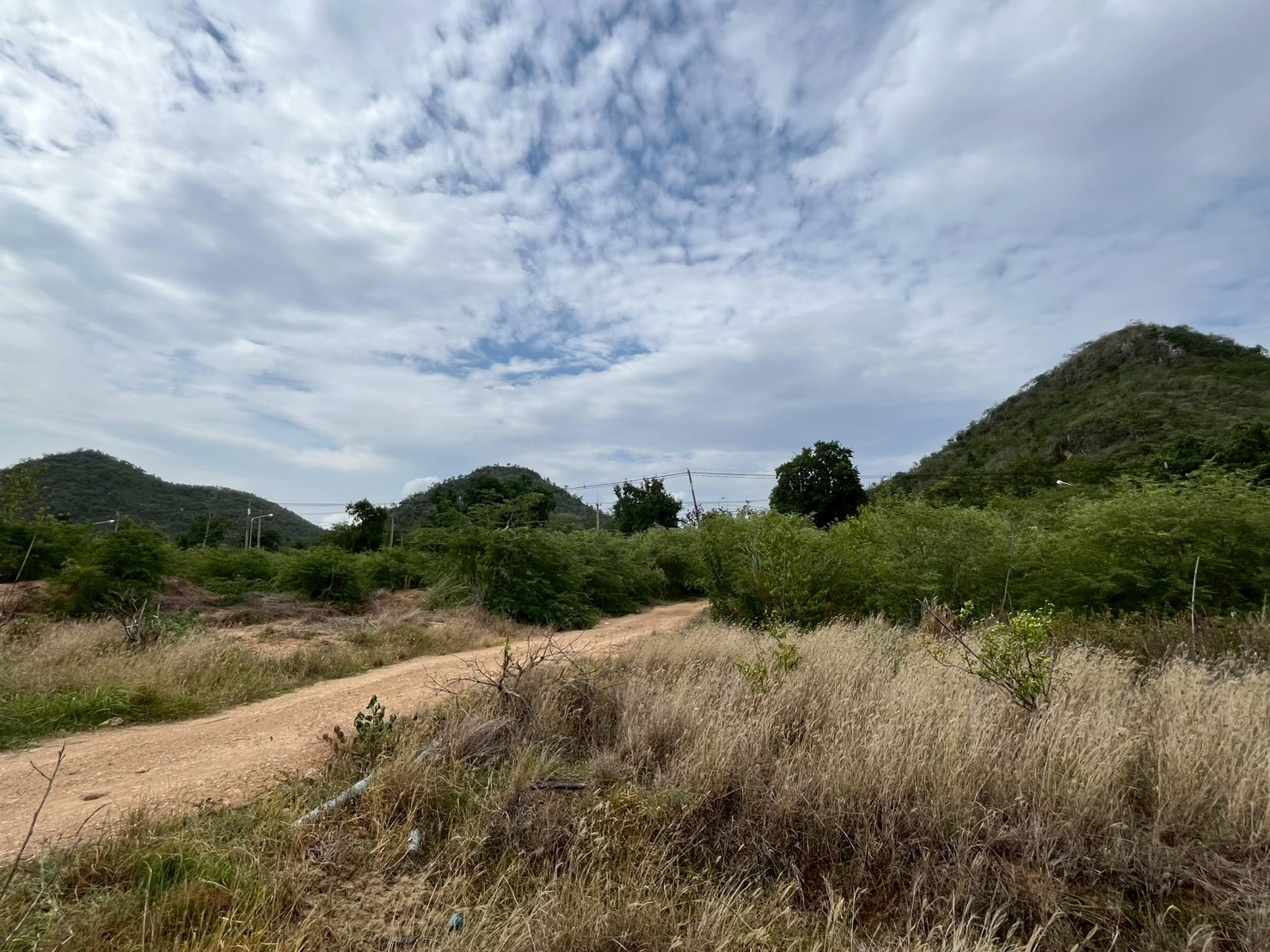 High potential land, next to the main road - next to the Kwai Yai River. – รูปที่ 3