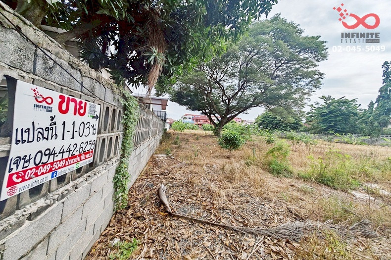 Land for sale, 1 rai 103 sq m., Pathum Samphan - Phatthana Samphan Road, near Pathum Thani Government Center - Pathum Wilai Intersection. – รูปที่ 3