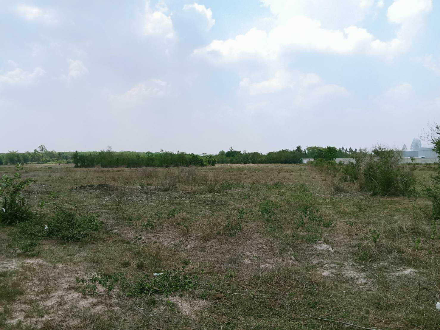Land for sale, purple pattern, 26 rai 2 ngan 26 sq m, near Apex Green Industrial Estate, Chachoengsao. – รูปที่ 3