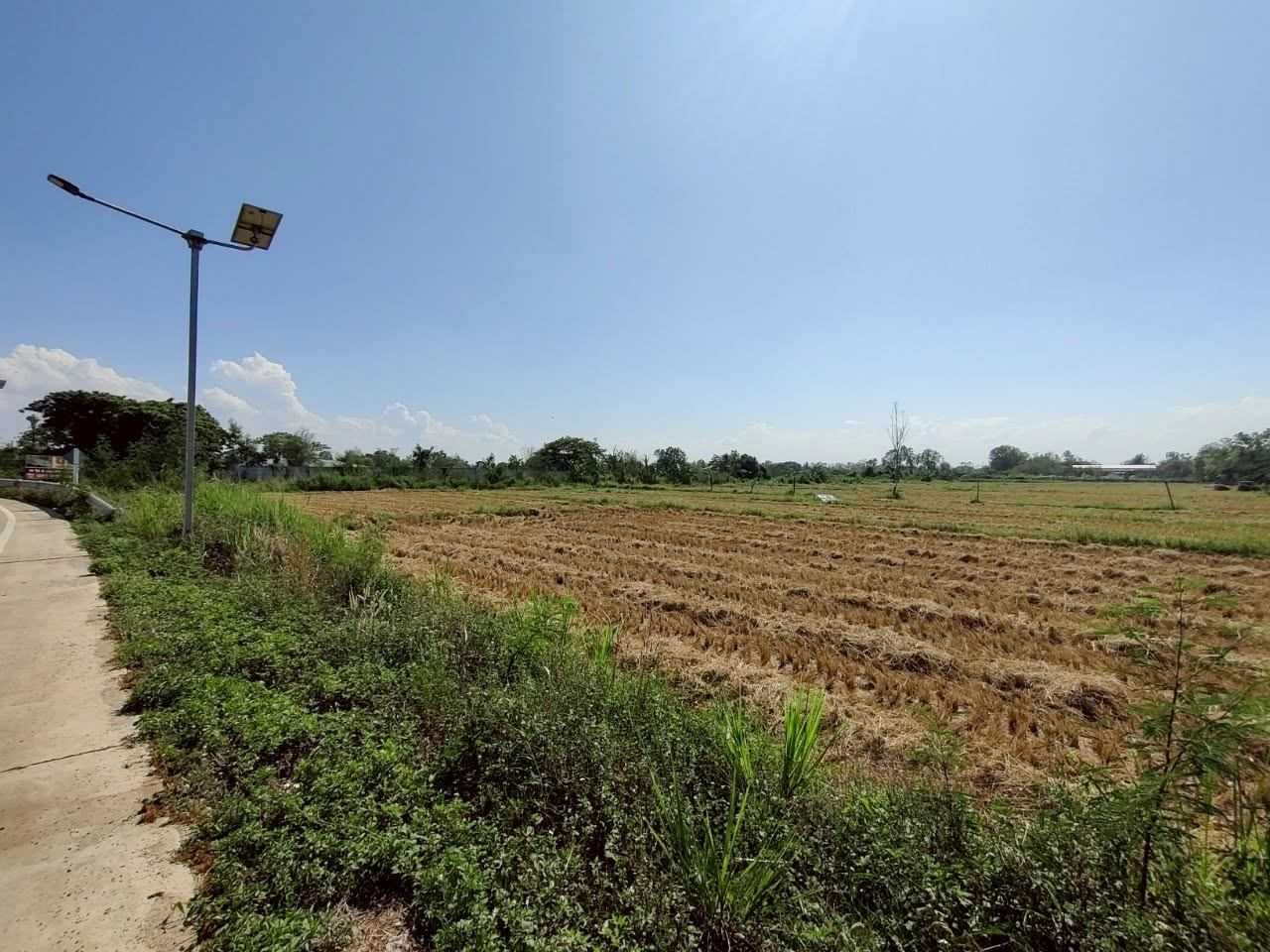Large plot of land for sale, Buak Khang, San Kamphaeng, Chiang Mai, area 17 rai 3 ngan 68 square wah, next to the road on 2 sides, ready for development. – รูปที่ 2