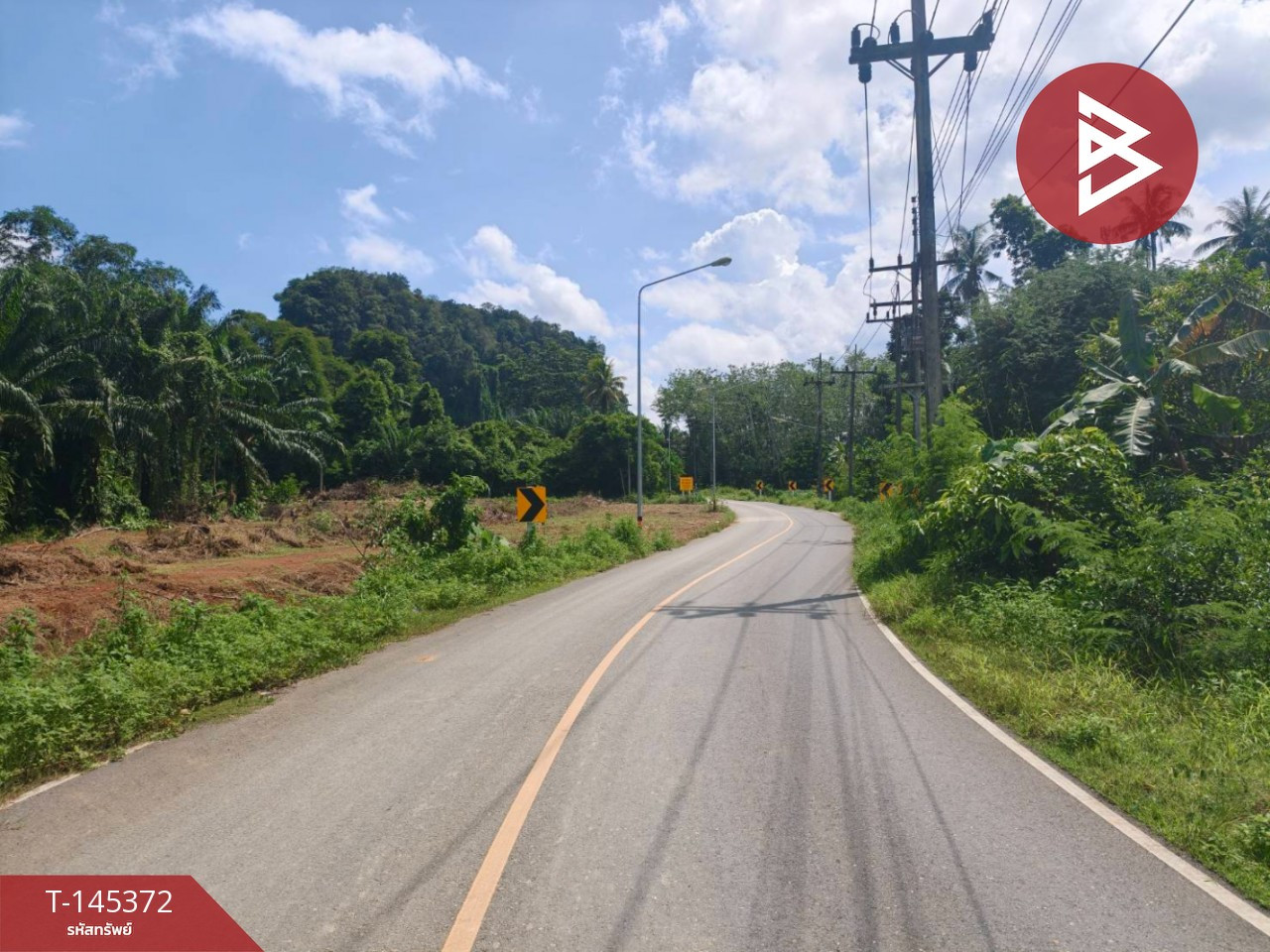 ขายที่ดินพร้อมสวนยาง เนื้อที่ 7 ไร่่ 2 งาน 60 ตารางวา ไสไทย จังหวัดกระบี่ – รูปที่ 4