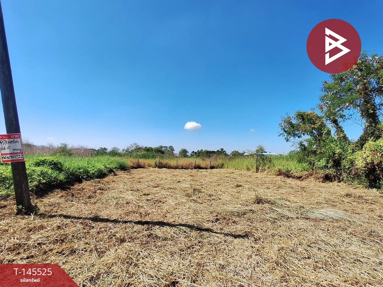 Land for sale, area 66 sq m, Thanyaburi, Pathum Thani – รูปที่ 2