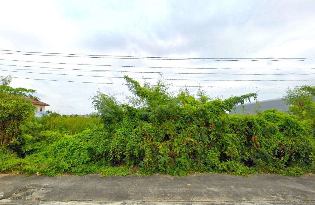 Land for sale in Soi Chumchon Baan Eua Arthorn 7/1, Thanyaburi, over 2 rai, – รูปที่ 3