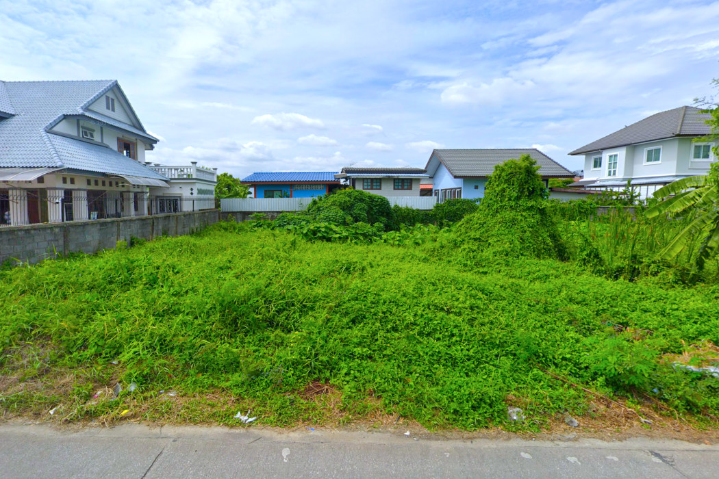 ขาย ที่ดิน ซอยปั้นทองนิเวศน์ 2 ลำลูกกา ขนาด 100 ตรว ใกล้ถ.ลำลูกกาแค่ 2.9 กม. DD – รูปที่ 3