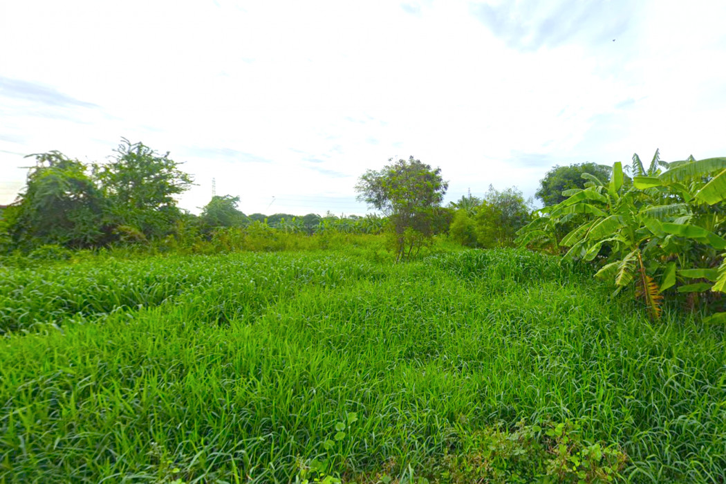 Land for sale in Na Dee, Samut Sakhon, 308.9 square wah. Close to Sathon Road 1, only 1.5 km away. DD – รูปที่ 3