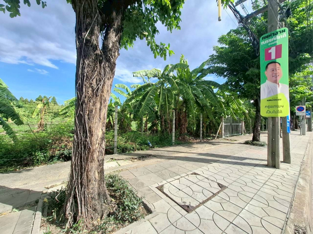 ขาย ที่ดิน ทำเลดี ริมถนนเอกชัย 4 ไร่ 19 ตรว เหมาะทำการค้า KK – รูปที่ 4