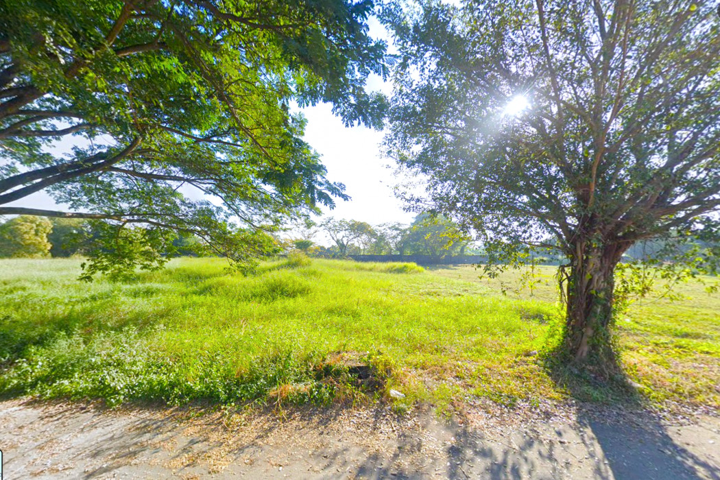 ขาย ที่ดิน โคกแฝด หนองจอก 540 ตรว ใกล้ถนนเชื่อมสัมพันธ์แค่ 450 เมตร DD – รูปที่ 3