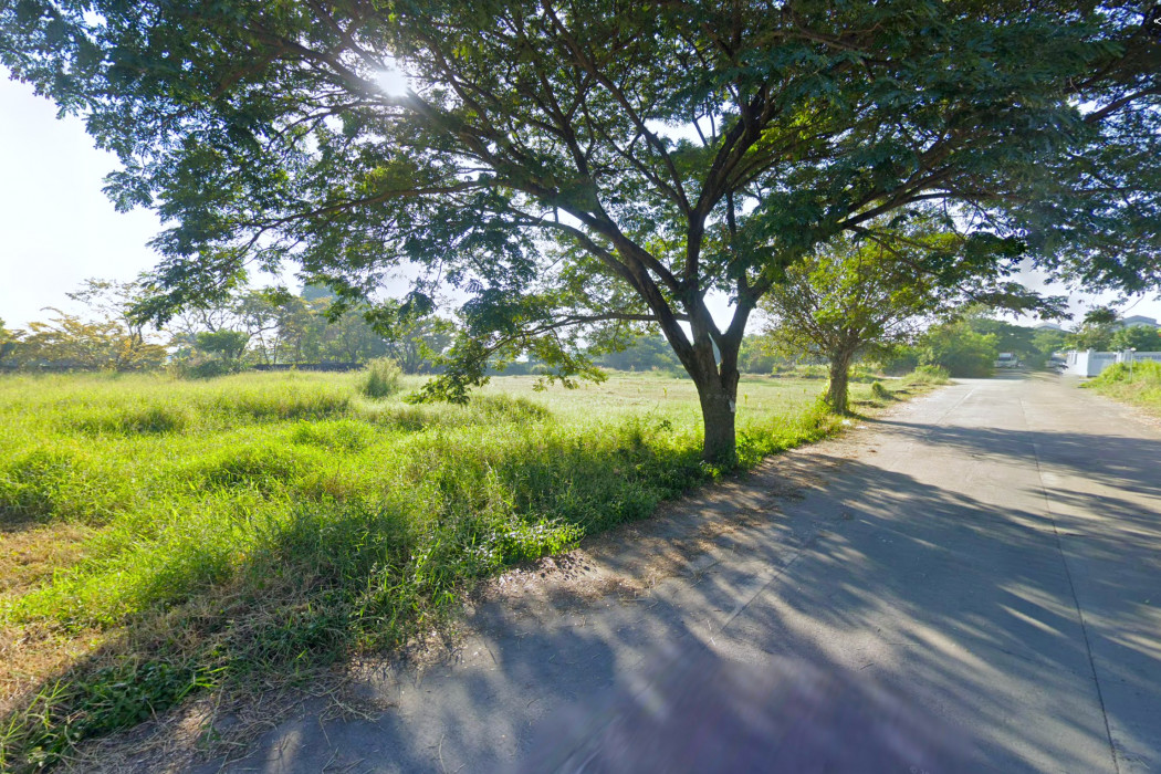 ขาย ที่ดิน โคกแฝด หนองจอก 540 ตรว ใกล้ถนนเชื่อมสัมพันธ์แค่ 450 เมตร DD – รูปที่ 4