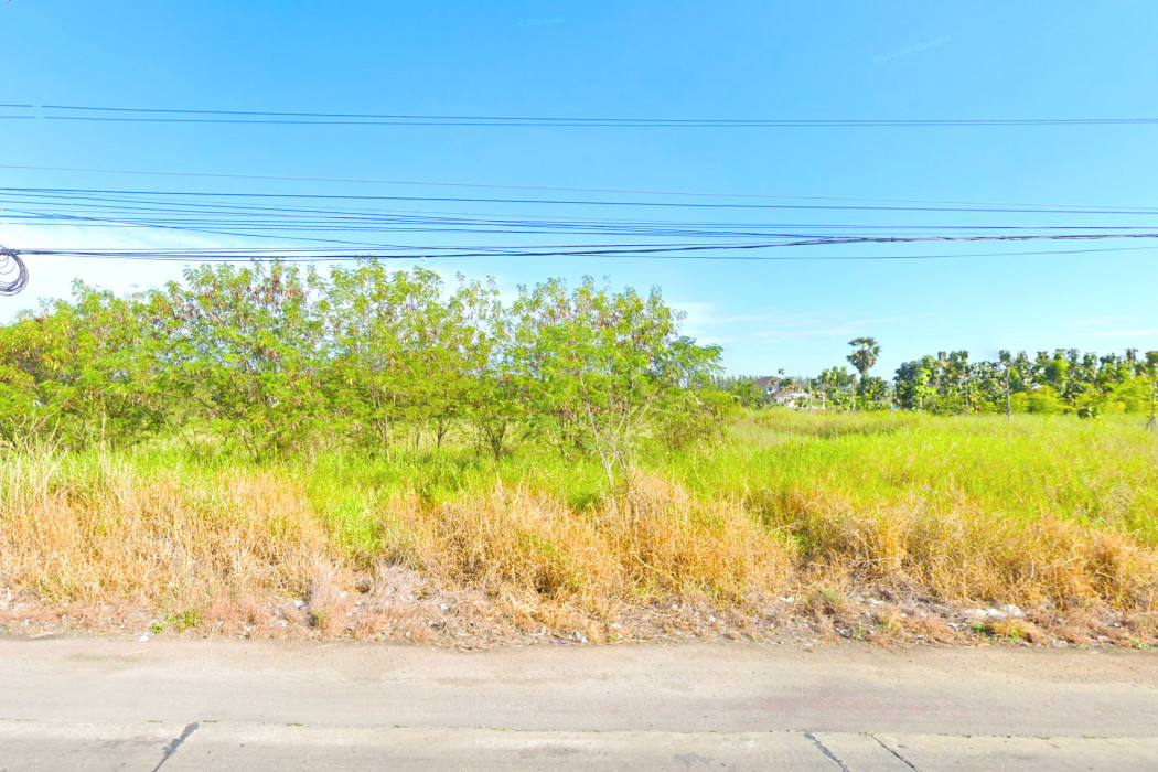 ขาย ที่ดิน คลอง 11 หนองเสือ 2 ไร่ ใกล้ถ.รังสิต-นครนายกแค่ 9.1 กม. DD – รูปที่ 3
