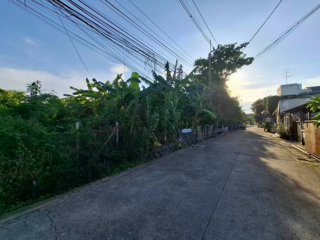 ขาย ที่ดิน โชคชัย 4 ซอย 51 ขนาด 3 ไร่กว่า เหมาะทำโครงการจัดสรรขนาดเล็ก DD – รูปที่ 2