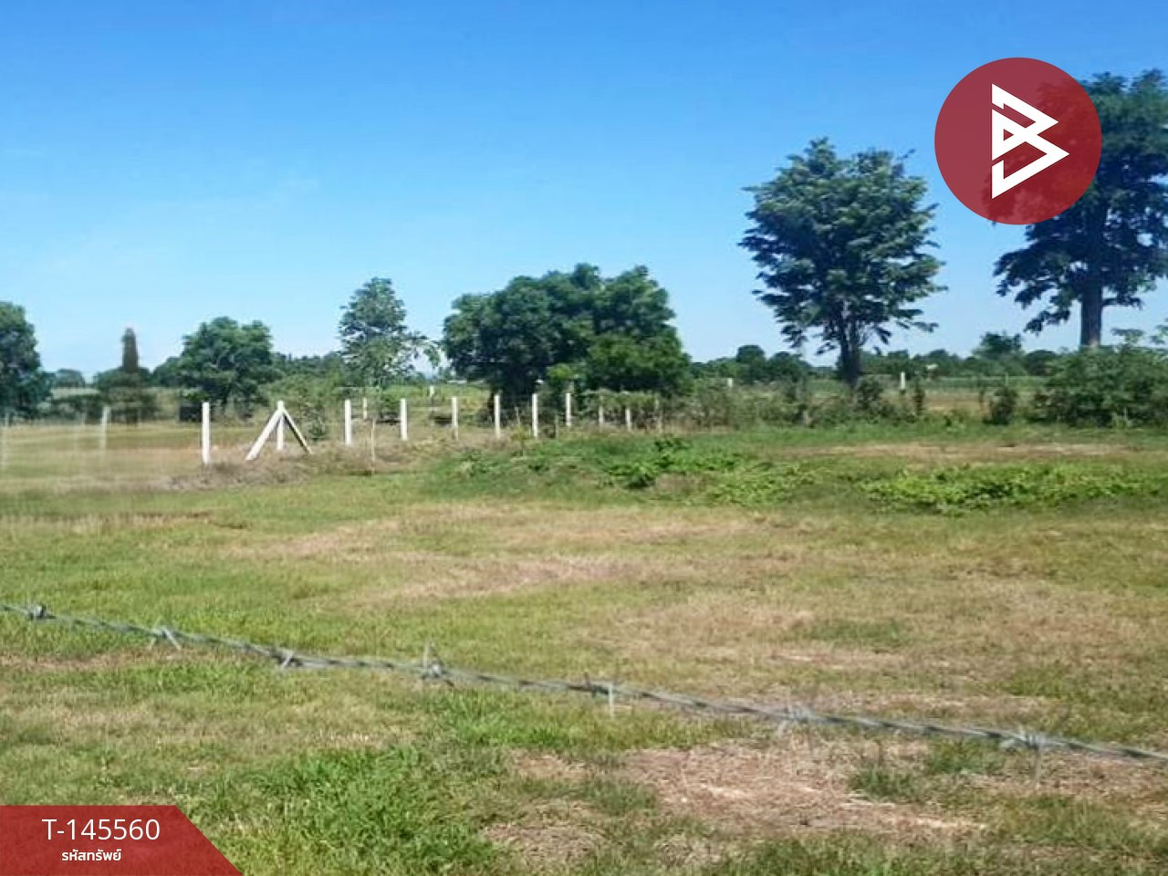 Land for sale, area 1 rai, Nong Ya Sai, Suphanburi. – รูปที่ 2