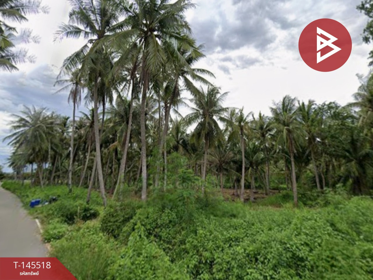 Land for sale, area 4 rai 1 ngan 46.6 sq m, Ban Laem, Phetchaburi. – รูปที่ 3