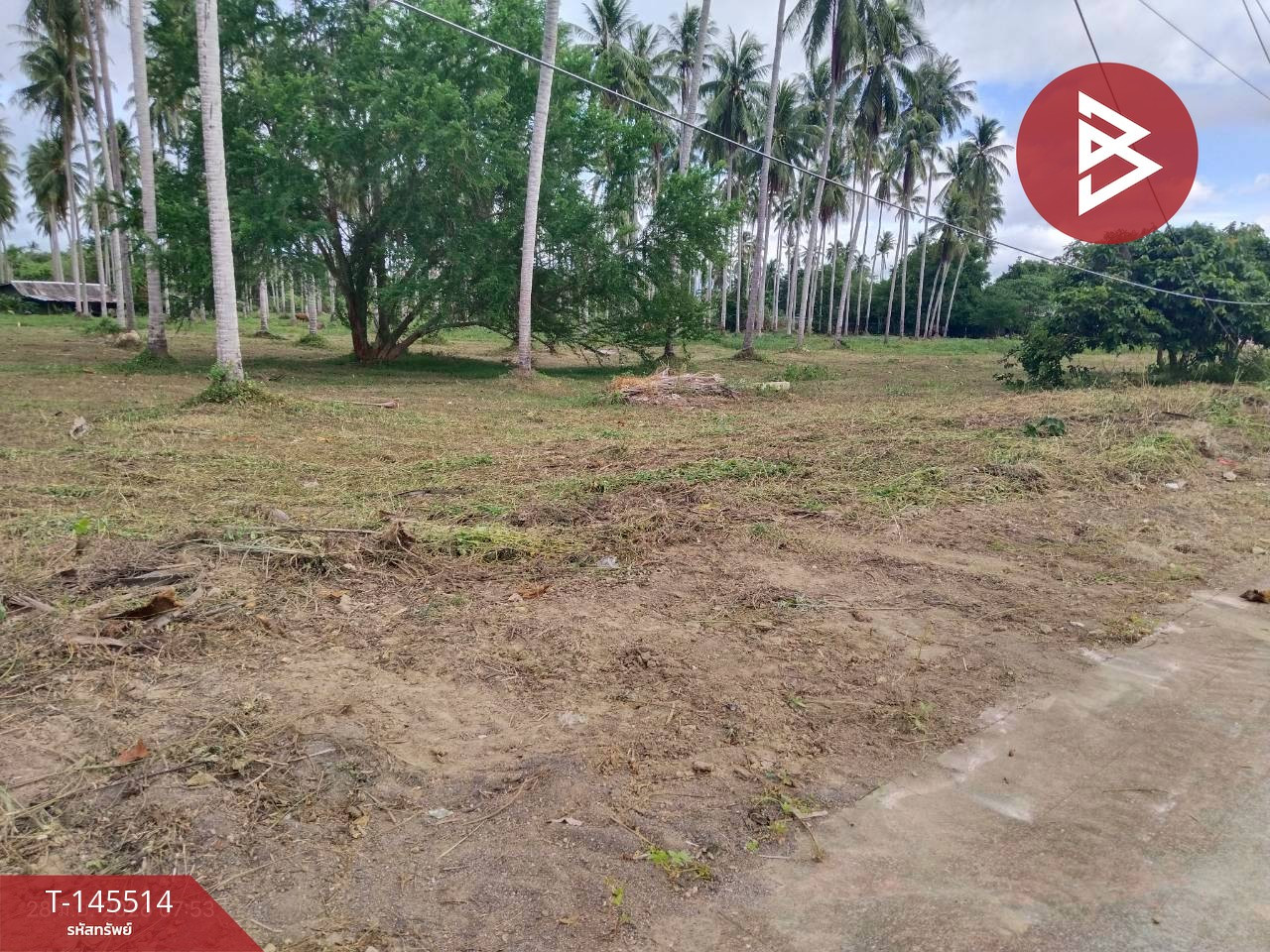 ขายที่ดิน เนื้อที่ 28 ไร่ 2 งาน 6 ตร.วา บางสะพาน ประจวบคีรีขันธ์ – รูปที่ 3
