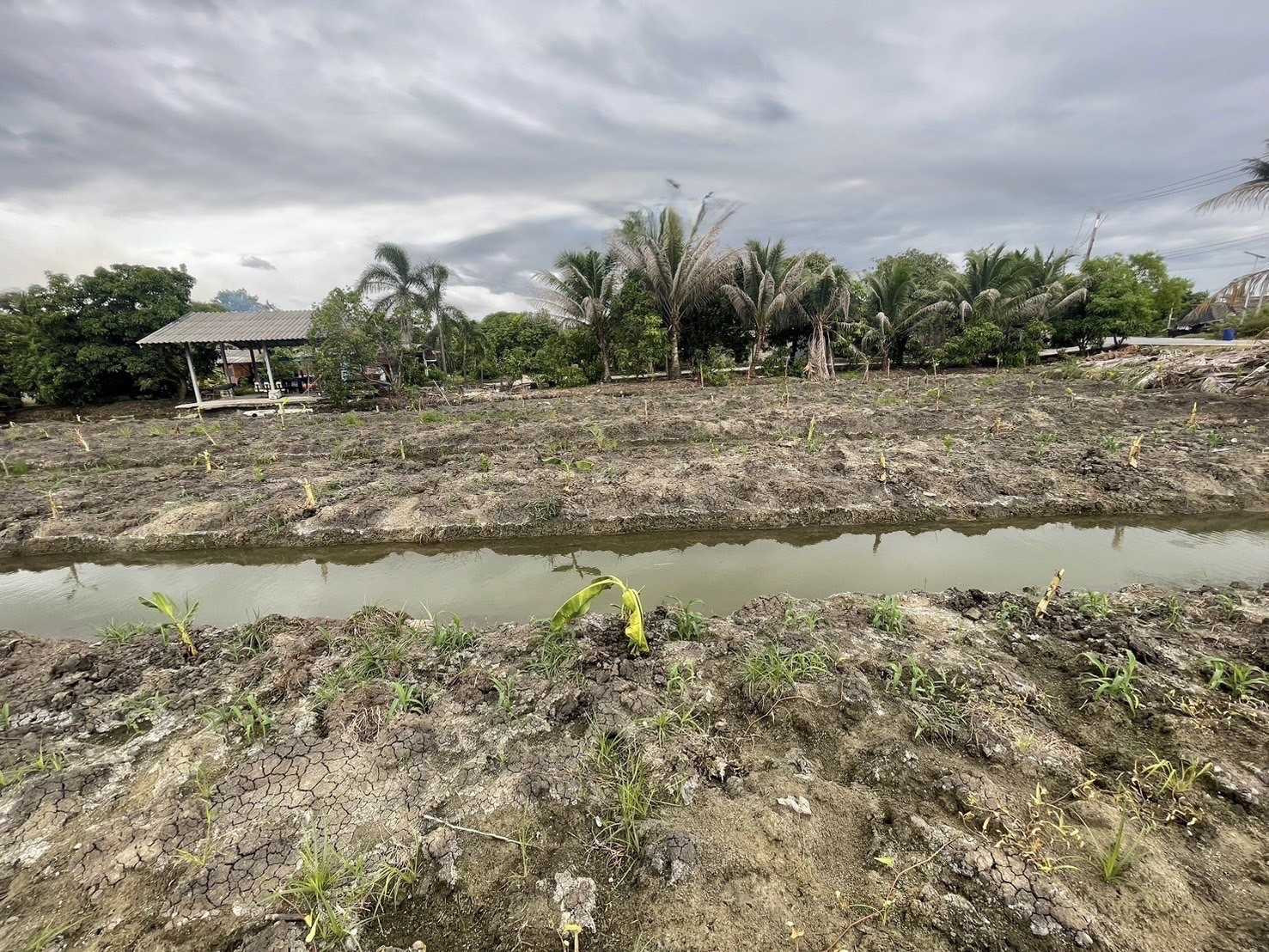 Beautiful land plot for sale, 2 ngan, 23 sq m, Khlong Mai, Sam Phran, Nakhon Pathom. Beautiful land plot for sale, 2 ngan, 23 sq m, Khlong Mai, Sam Phran, Nakhon Pathom.