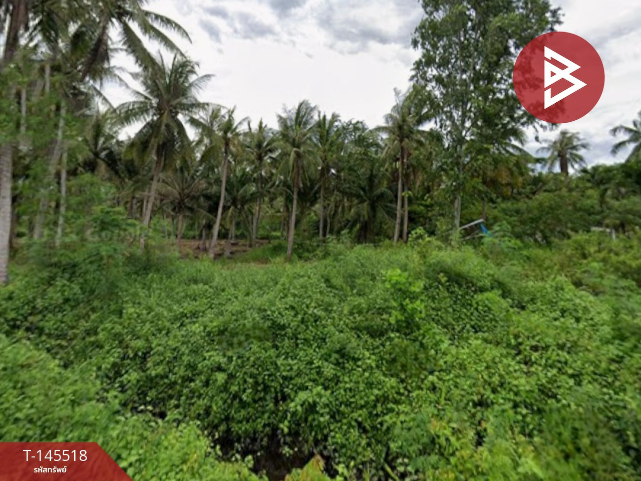 Land for sale, area 4 rai 1 ngan 46.6 sq m, Ban Laem, Phetchaburi. – รูปที่ 2